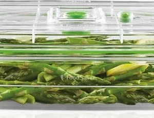 Foodsaver vershouddoos 2,3 l